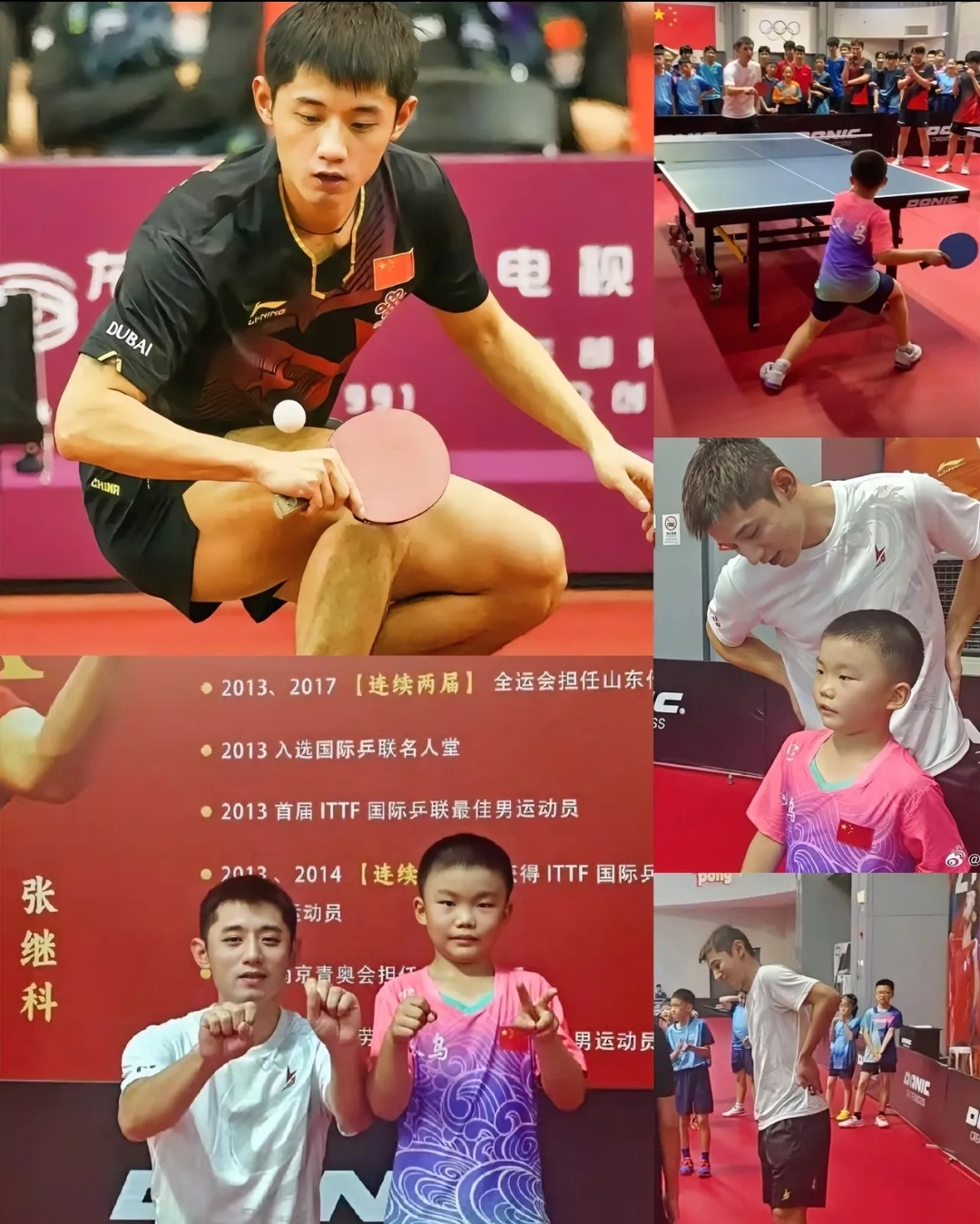 中国乒乓球队碾压比利时乒乓球队,张继科完成帽子戏法 中国乒乓球队碾压比利时乒乓球队,张继科完成帽子戏法