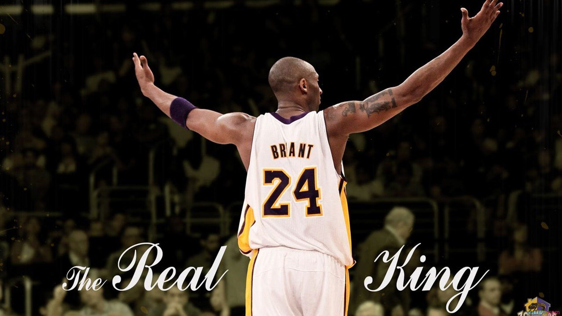 掘金国际纵队战术启示录，从NBA到欧冠，武切维奇如何诠释现代篮球的全球智慧